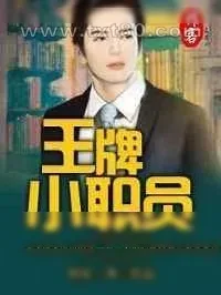 《王牌小职员》小说封面