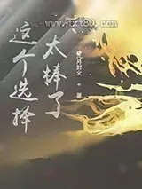 《葵花宝典》小说封面