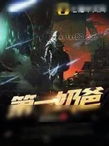 《第一奶爸》小说封面