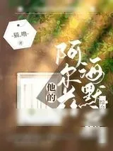 《他的阿尔兹海默症先生》小说封面