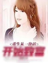 《重生从一块砖开始致富》小说封面