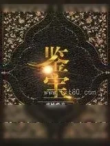 《鉴宝》小说封面