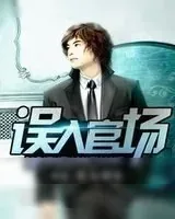 《误入官场》小说封面