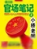 《官路风流》小说封面