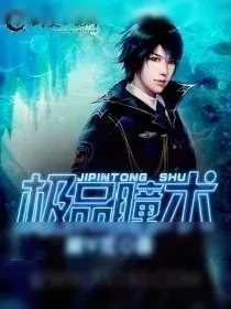 《极品瞳术》小说封面