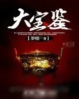 《大宝鉴》小说封面