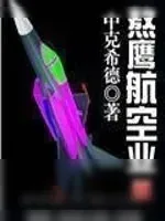 《熬鹰航空业》小说封面