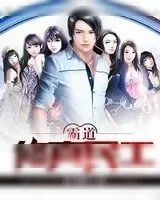 《霸道修真民工》小说封面