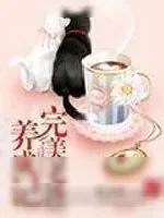 《完美老爸养成记》小说封面