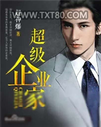 《超级企业家》小说封面
