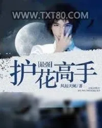 《最强护花高手》小说封面
