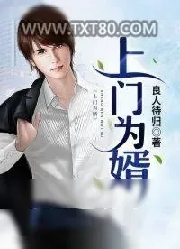 《上门为婿》小说封面