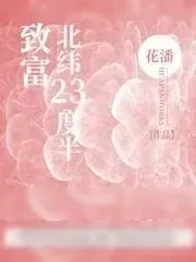 《致富北纬23度半》小说封面