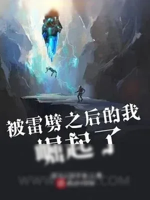 《被雷劈之后的我崛起了》小说封面