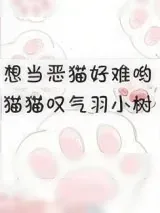 《想当恶猫好难哟》小说封面