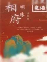 《相府明珠》小说封面