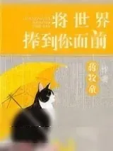 《将世界捧到你面前》小说封面