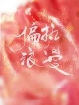《偏执浪漫》小说封面