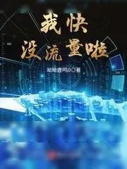 《我快没流量啦》小说封面