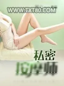 《私密按摩师》小说封面