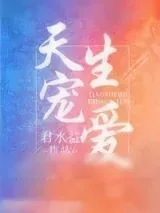 《天生宠爱》小说封面