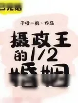 《摄政王的1／2婚姻》小说封面