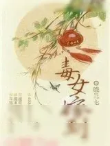 《毒女嫁到》小说封面