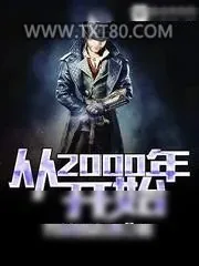 《从2000年开始》小说封面