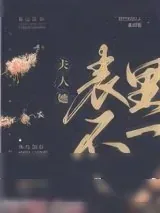 《夫人她表里不一》小说封面