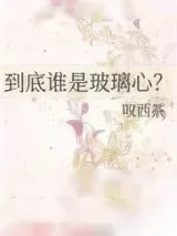 《到底谁是玻璃心？》小说封面
