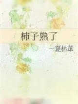 《柿子熟了》小说封面