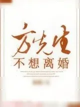 《方先生不想离婚》小说封面