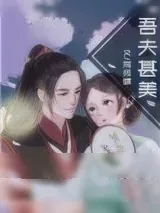 《吾夫甚美》小说封面