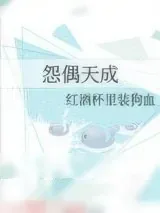 《怨偶天成》小说封面
