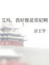 《艾玛，我好像是荣妃啊!》小说封面