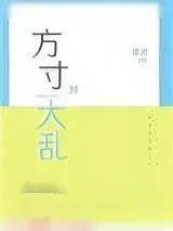 《方寸大乱》小说封面
