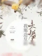 《我那造反的未婚夫》小说封面