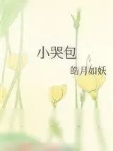 《小哭包》小说封面
