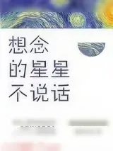 《想念的星星不说话》小说封面
