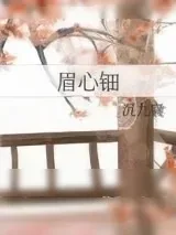 《眉心钿》小说封面