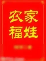 《农家福娃》小说封面