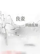 《良妾》小说封面