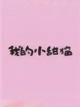 《我的小甜猫》小说封面