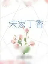 《宋家丁香》小说封面