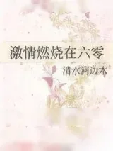 《激情燃烧在六零》小说封面
