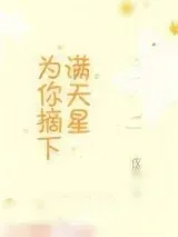 《为你摘下满天星》小说封面
