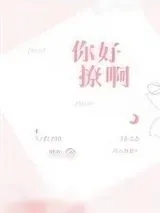 《你好撩啊》小说封面