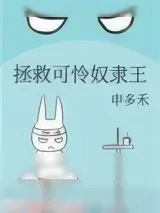 《拯救可怜奴隶王》小说封面