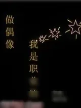 《做偶像，我是职业的》小说封面