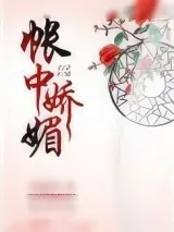 《帐中娇媚》小说封面